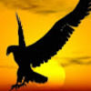 dbrooks067